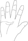 Palmistry - Conic Hand Type