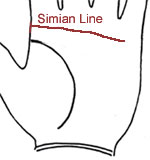 Palmistry - Lines: Simian Line